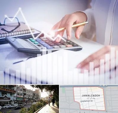 کارشناس مالیاتی در خیابان جمالزاده
