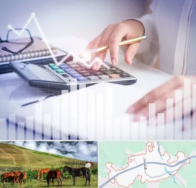 کارشناس مالیاتی در تالش