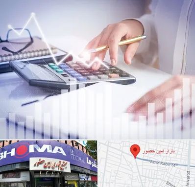 کارشناس مالیاتی در امین حضور