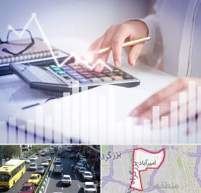 کارشناس مالیاتی در امیرآباد