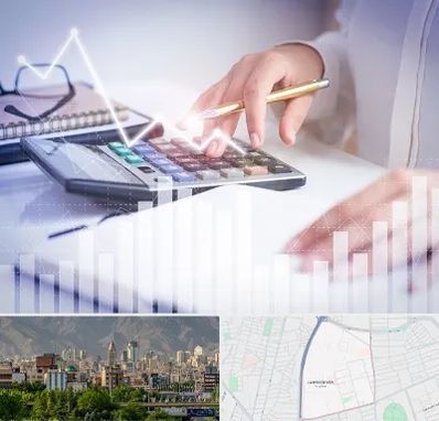 کارشناس مالیاتی در جمشیدیه