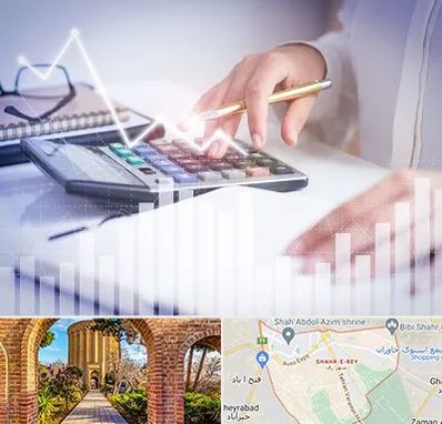 کارشناس مالیاتی در شهر ری