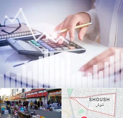 کارشناس مالیاتی در شوش
