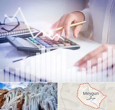 کارشناس مالیاتی در میگون