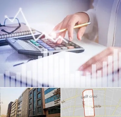 کارشناس مالیاتی در نجات اللهی