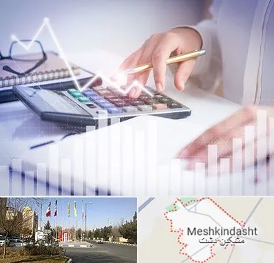 کارشناس مالیاتی در مشکین دشت