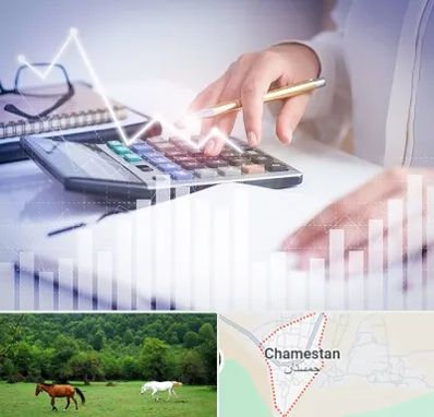 کارشناس مالیاتی در چمستان