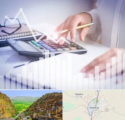 کارشناس مالیاتی در کامیاران