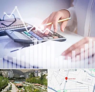 کارشناس مالیاتی در بلوار تعاون