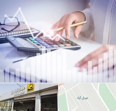 کارشناس مالیاتی در عبدل آباد