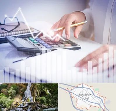 کارشناس مالیاتی در الیگودرز