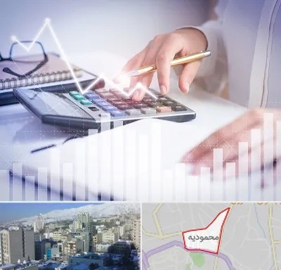 کارشناس مالیاتی در محمودیه