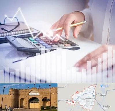 کارشناس مالیاتی در ایرانشهر