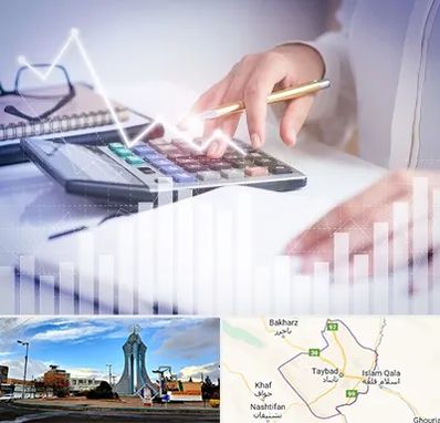 کارشناس مالیاتی در تایباد
