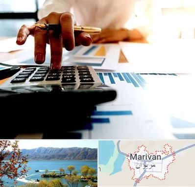 مشاور مالیاتی در مریوان