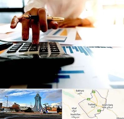 مشاور مالیاتی در تایباد