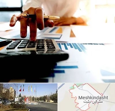 مشاور مالیاتی در مشکین دشت