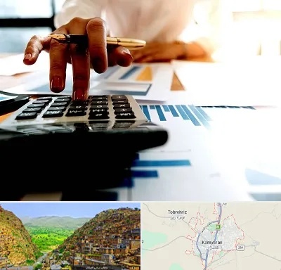 مشاور مالیاتی در کامیاران