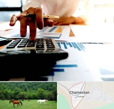 مشاور مالیاتی در چمستان