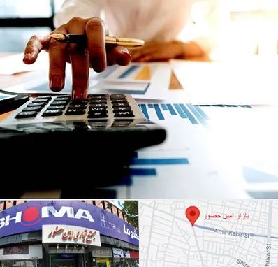 مشاور مالیاتی در امین حضور