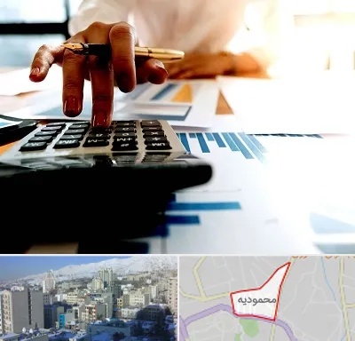 مشاور مالیاتی در محمودیه