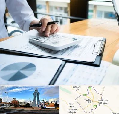 شرکت مالیاتی در تایباد