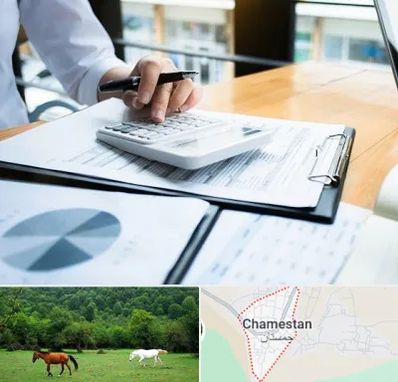 شرکت مالیاتی در چمستان