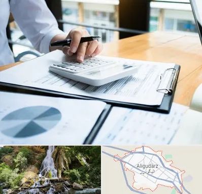 شرکت مالیاتی در الیگودرز