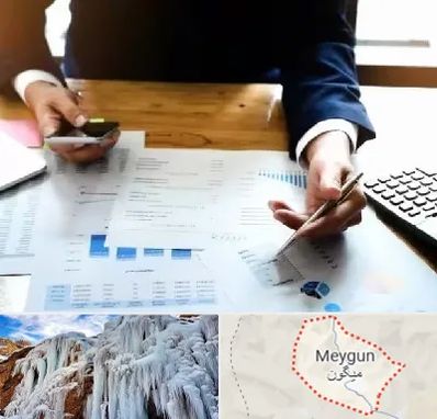 موسسه خدمات مالی در میگون