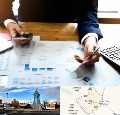 موسسه خدمات مالی در تایباد