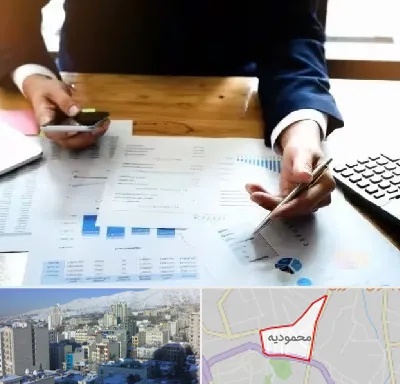 موسسه خدمات مالی در محمودیه