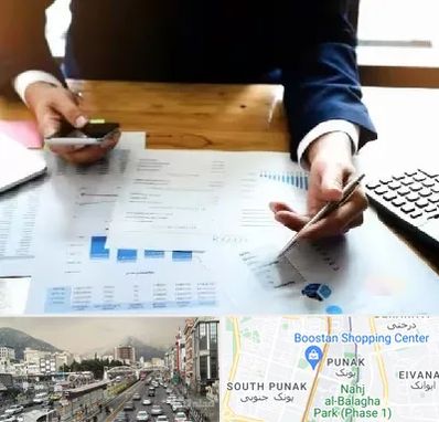 موسسه خدمات مالی در پونک 