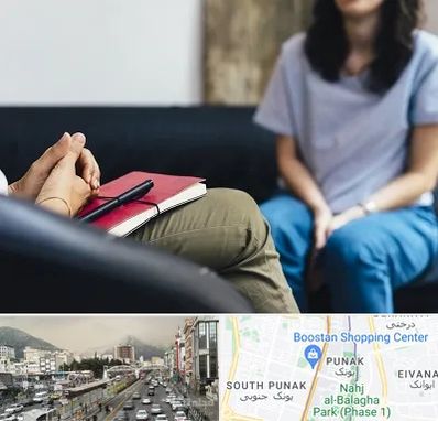 تراپیست در پونک 