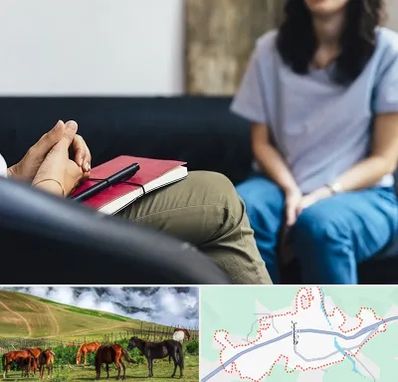 تراپیست در تالش