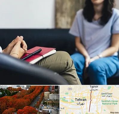 تراپیست در ولیعصر 