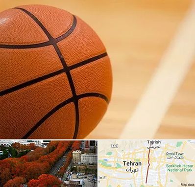 زمین بسکتبال در ولیعصر