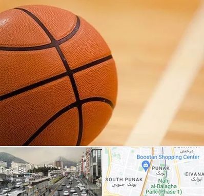 زمین بسکتبال در پونک