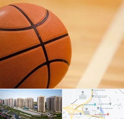 زمین بسکتبال در المپیک