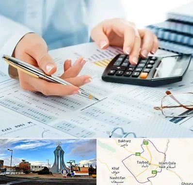 موسسه حسابرسی در تایباد