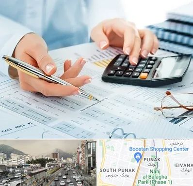 موسسه حسابرسی در پونک 