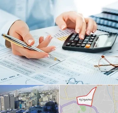 موسسه حسابرسی در محمودیه