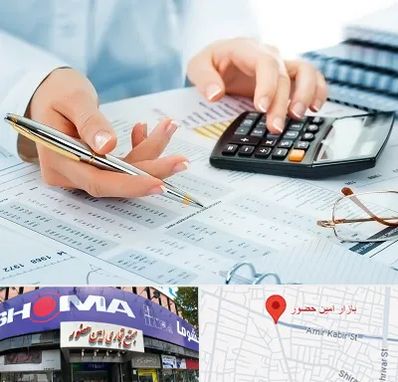 موسسه حسابرسی در امین حضور