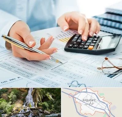 موسسه حسابرسی در الیگودرز