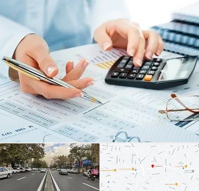 موسسه حسابرسی در دولت