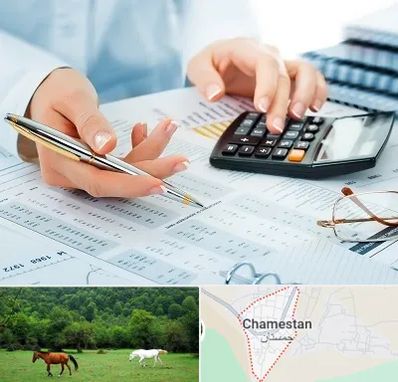 موسسه حسابرسی در چمستان