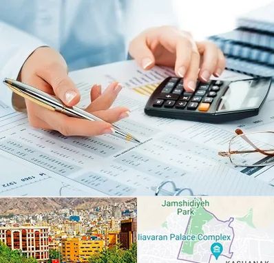 موسسه حسابرسی در نیاوران 