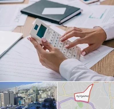 شرکت حسابرسی در محمودیه