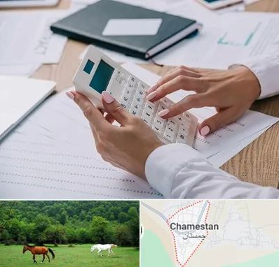 شرکت حسابرسی در چمستان