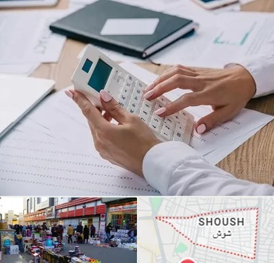 شرکت حسابرسی در شوش