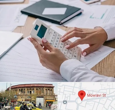 شرکت حسابرسی در مولوی